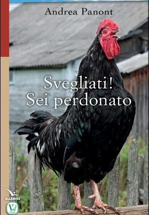 Svegliati! Sei perdonato